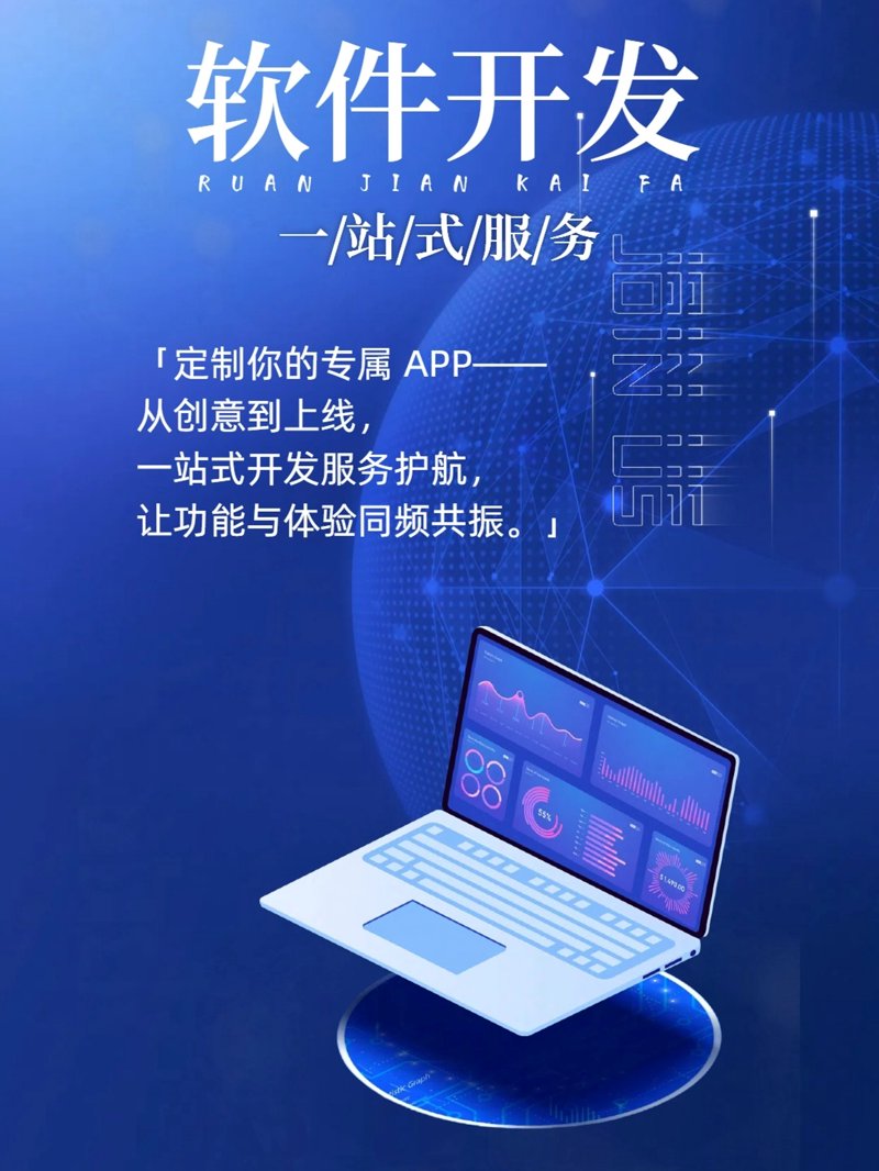 软件开发公司：在创新中绽放光彩