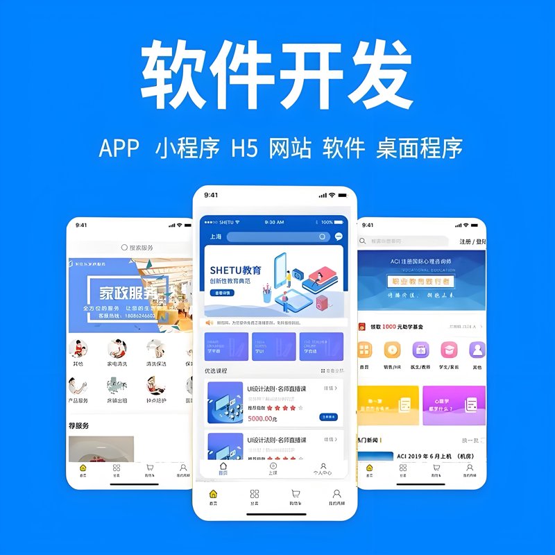 软件开发公司：推动技术创新的“建筑师”