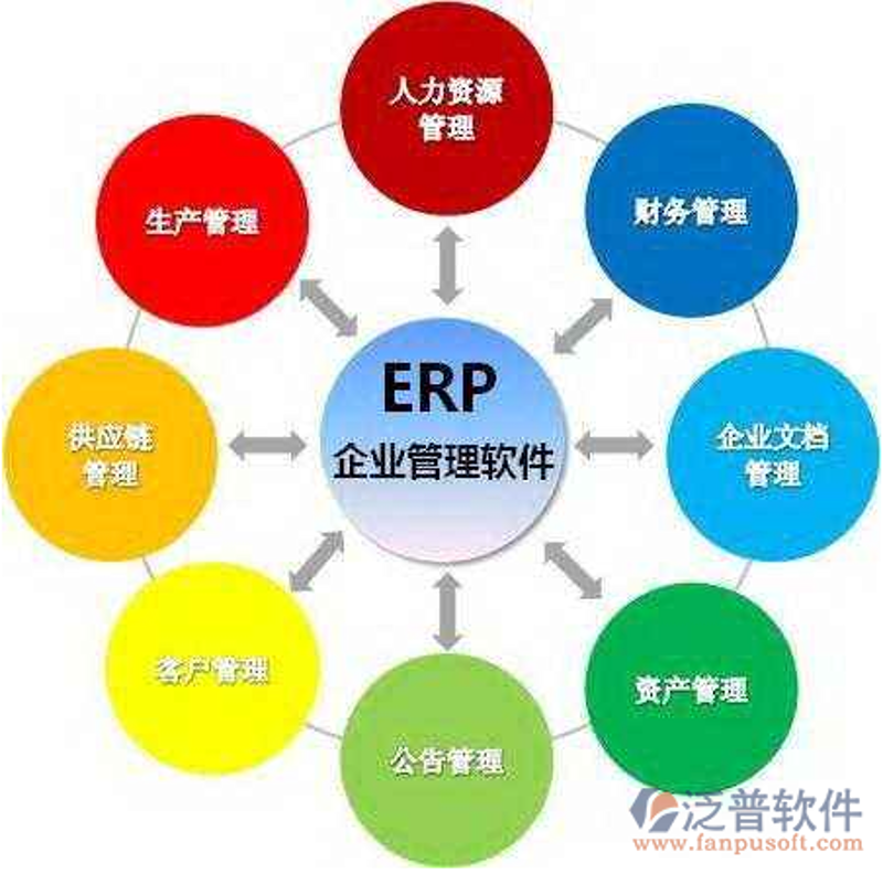 软件定制开发：企业信息化的新引擎