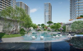 組織結(jié)構(gòu)